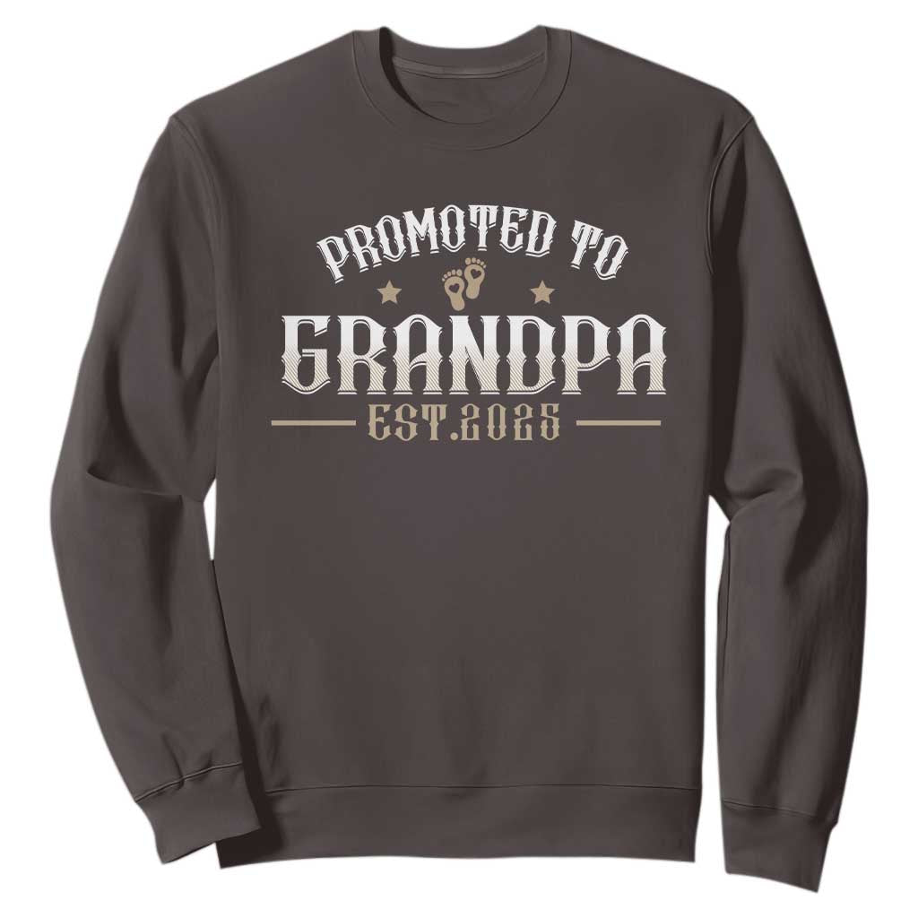 Retro Promoted To Grandpa est 2025 Sweatshirt TS09 Dark Chocolate Print Your Wear