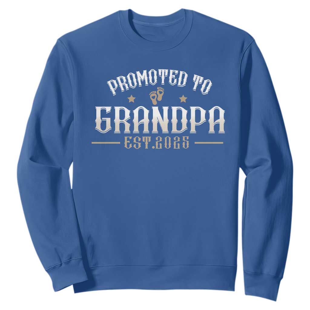 Retro Promoted To Grandpa est 2025 Sweatshirt TS09 Royal Blue Print Your Wear