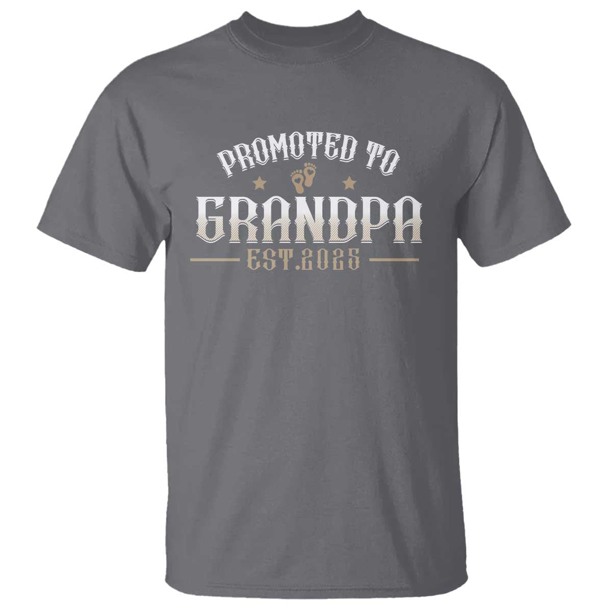 Retro Promoted To Grandpa est 2025 T Shirt TS09 Charcoal Print Your Wear