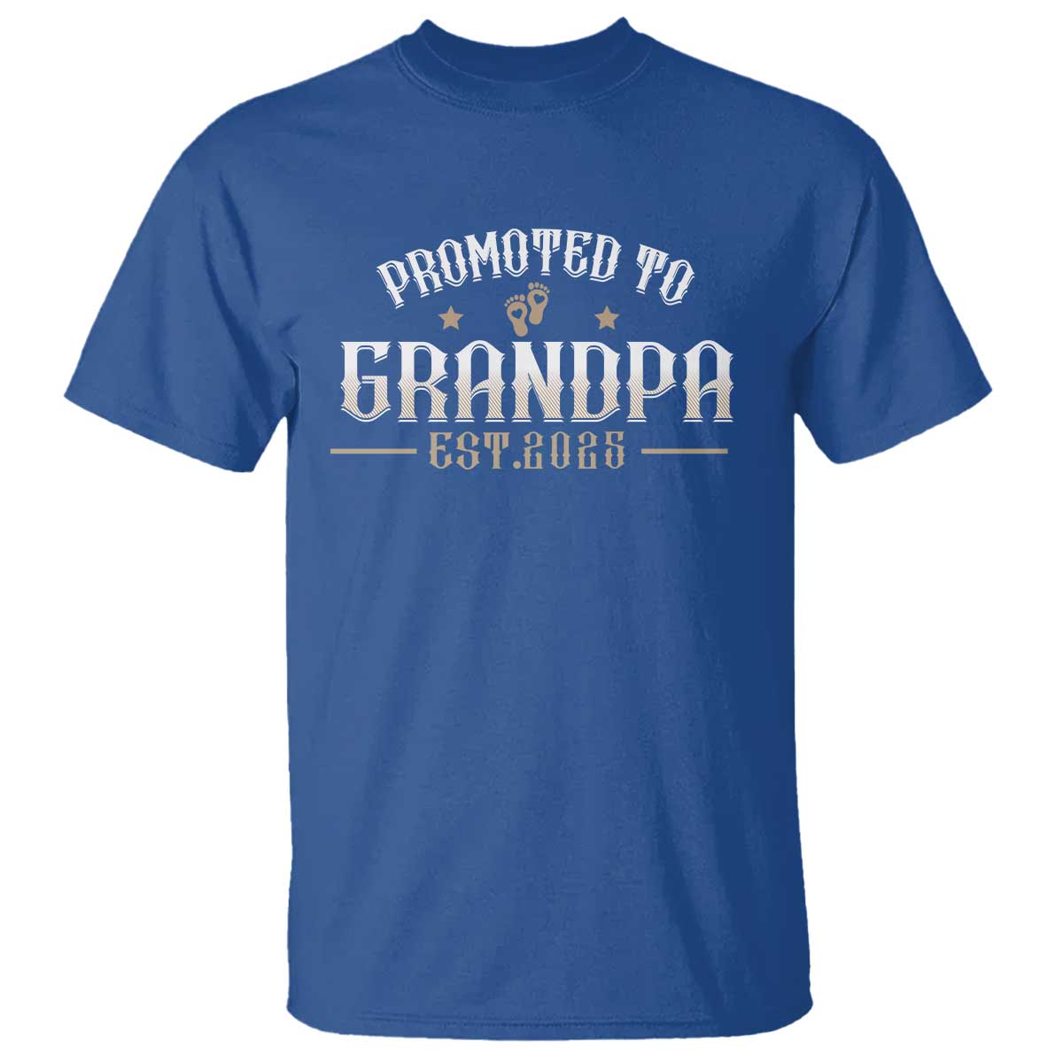 Retro Promoted To Grandpa est 2025 T Shirt TS09 Royal Blue Print Your Wear