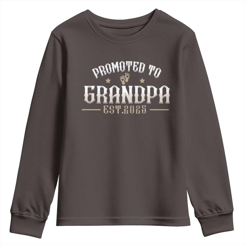 Retro Promoted To Grandpa est 2025 Youth Sweatshirt TS09 Dark Chocolate Print Your Wear
