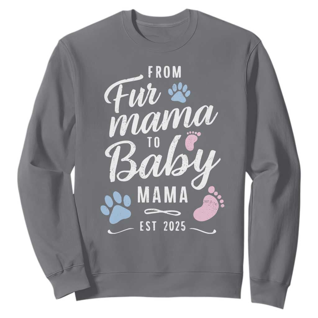 Funny From Fur Mama To Baby Mama Sweatshirt Dog Mom New Mom 2025 TS09 Charcoal Print Your Wear