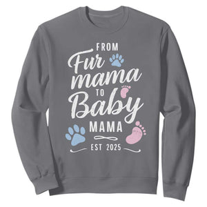 Funny From Fur Mama To Baby Mama Sweatshirt Dog Mom New Mom 2025 TS09 Charcoal Print Your Wear