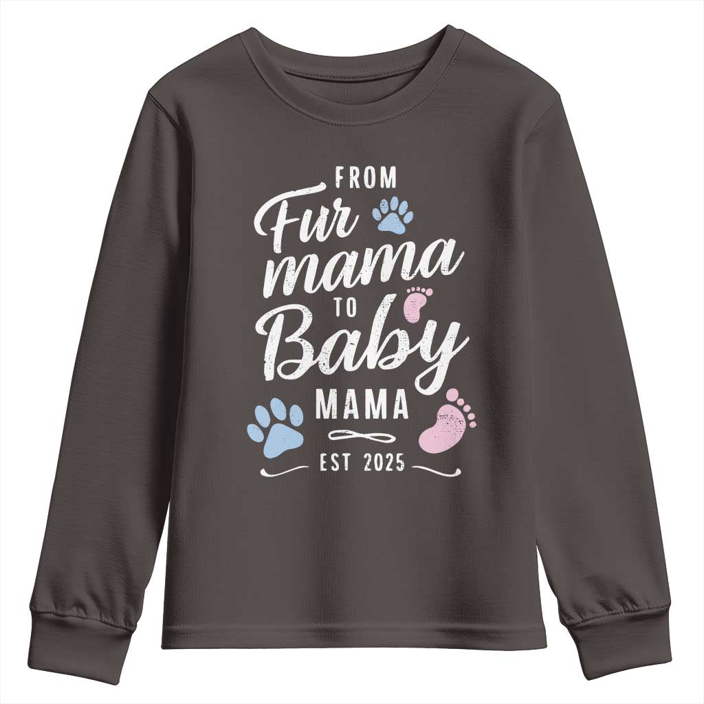 Funny From Fur Mama To Baby Mama Youth Sweatshirt Dog Mom New Mom 2025 TS09 Dark Chocolate Print Your Wear