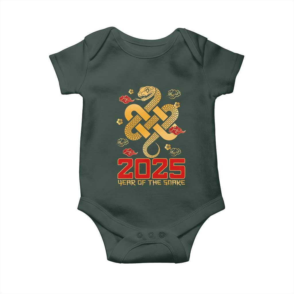 Year Of The Snake 2025 Baby Onesie Lunar New Year Chinese Traditional TS09 Print Your Wear