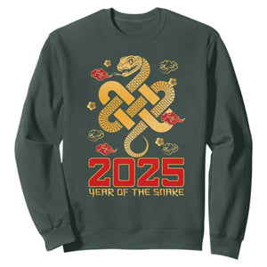 Year Of The Snake 2025 Sweatshirt Lunar New Year Chinese Traditional TS09 Dark Forest Green Print Your Wear