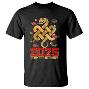 Year Of The Snake 2025 T Shirt Lunar New Year Chinese Traditional TS09 Black Print Your Wear