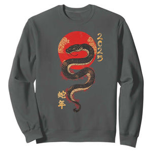 Year Of The Snake 2025 Sweatshirt Lunar New Year Chinese Snake TS09 Dark Heather Print Your Wear