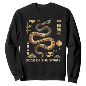 Lunar New Year 2025 Sweatshirt Year Of The Snake 2025 Chinese China TS09 Black Print Your Wear