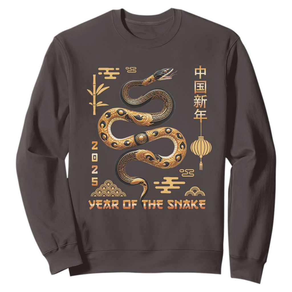 Lunar New Year 2025 Sweatshirt Year Of The Snake 2025 Chinese China TS09 Dark Chocolate Print Your Wear