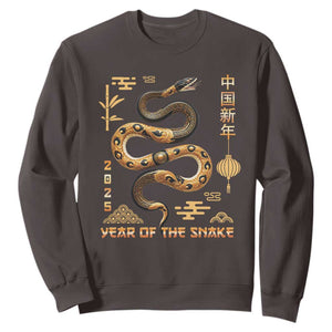 Lunar New Year 2025 Sweatshirt Year Of The Snake 2025 Chinese China TS09 Dark Chocolate Print Your Wear