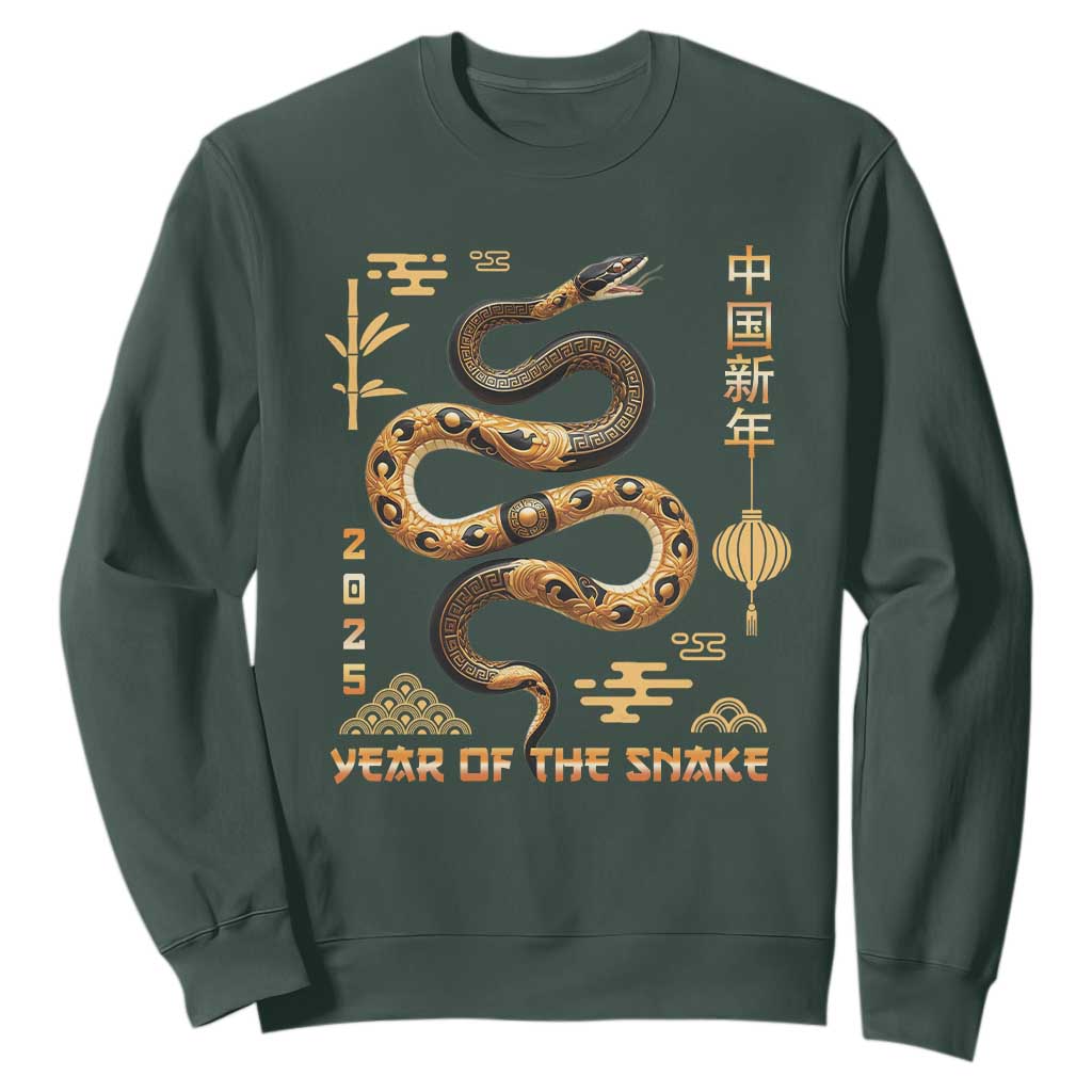 Lunar New Year 2025 Sweatshirt Year Of The Snake 2025 Chinese China TS09 Dark Forest Green Print Your Wear