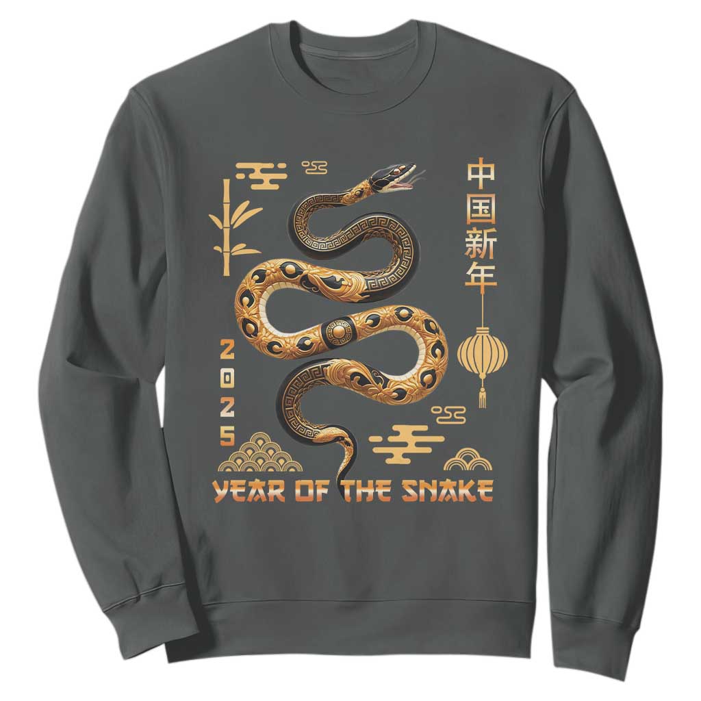 Lunar New Year 2025 Sweatshirt Year Of The Snake 2025 Chinese China TS09 Dark Heather Print Your Wear
