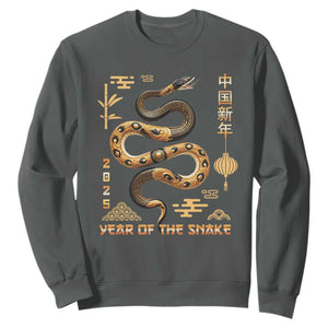Lunar New Year 2025 Sweatshirt Year Of The Snake 2025 Chinese China TS09 Dark Heather Print Your Wear