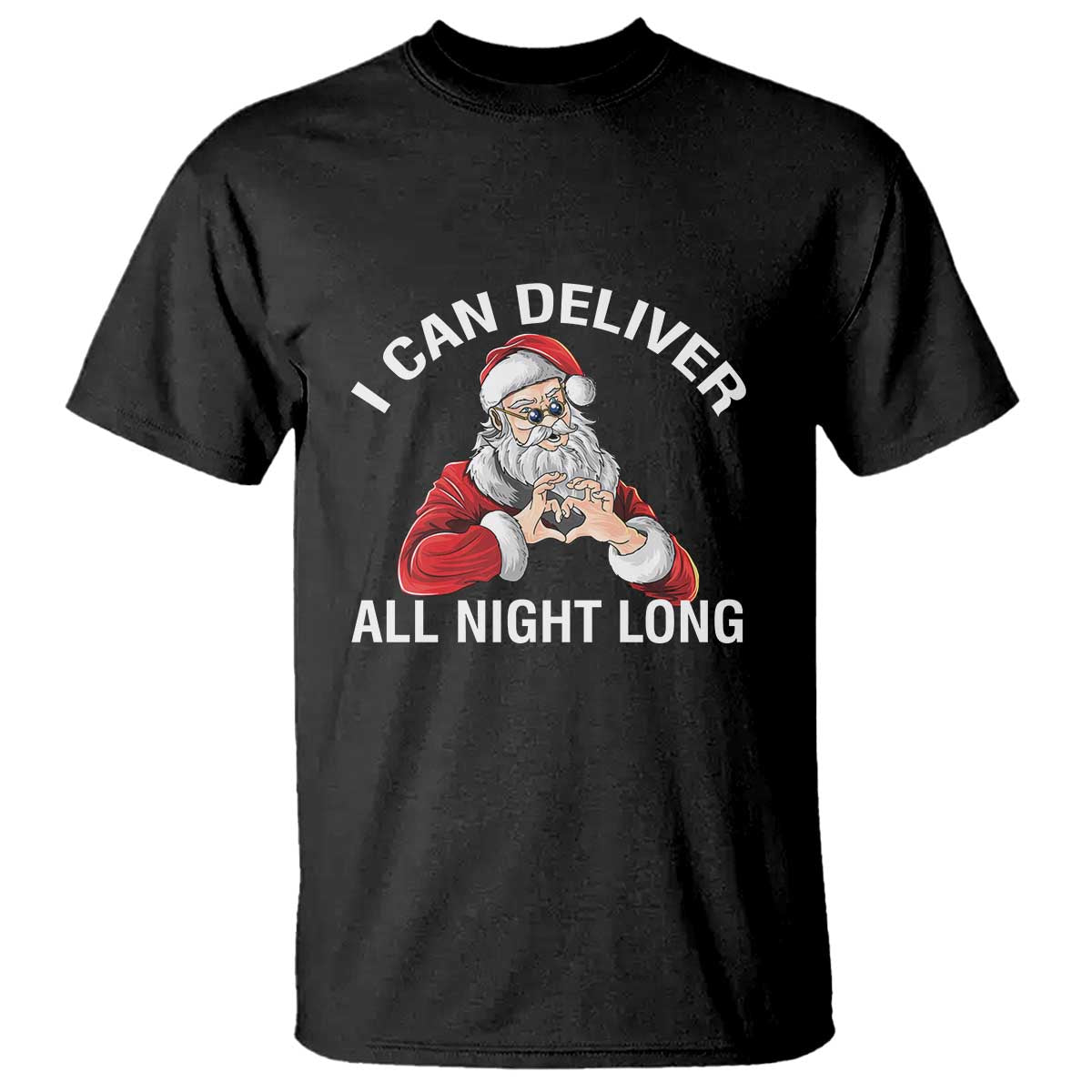 Funny Chrsitmas T Shirt I Can Deliver All Night Long TS09 Black Print Your Wear