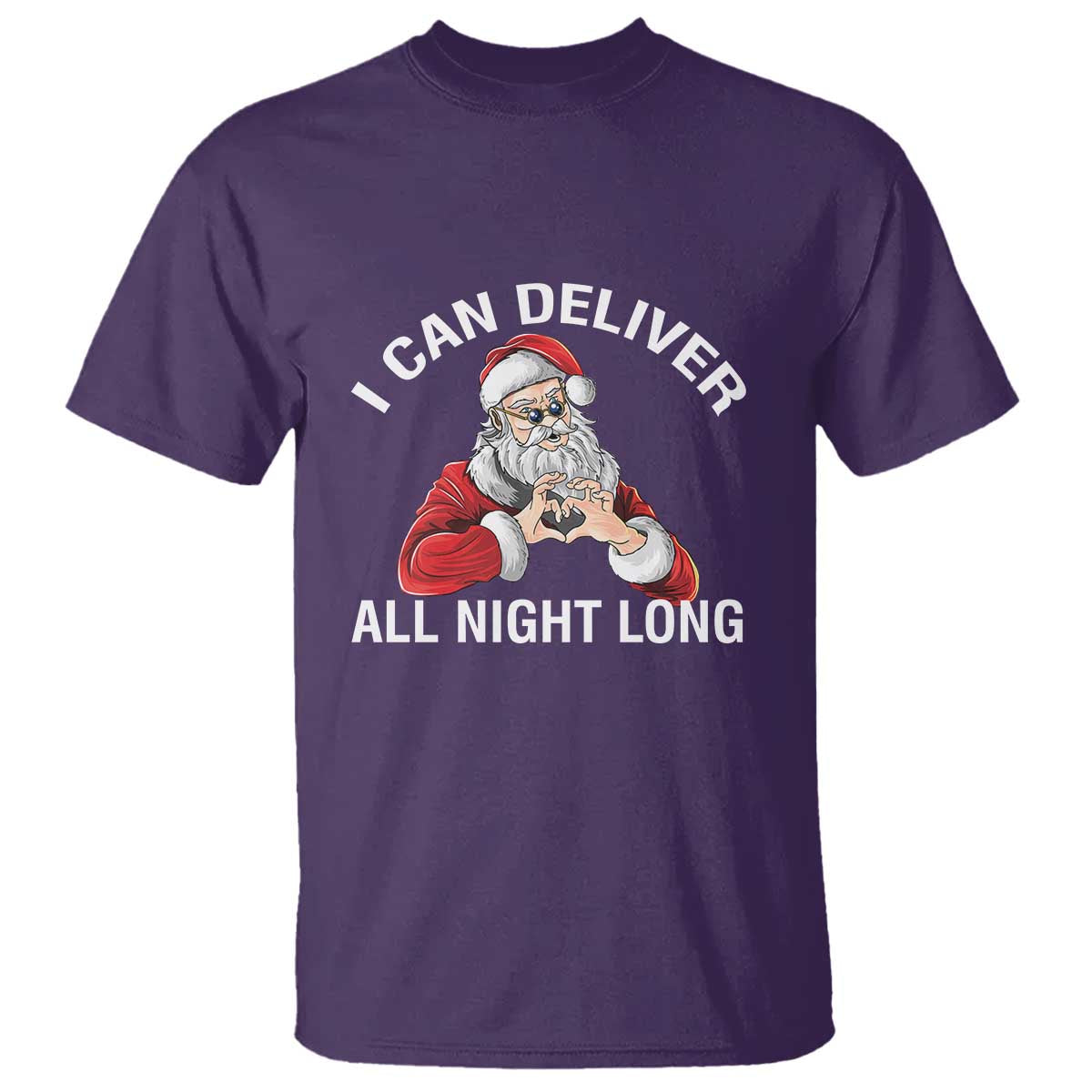 Funny Chrsitmas T Shirt I Can Deliver All Night Long TS09 Purple Print Your Wear
