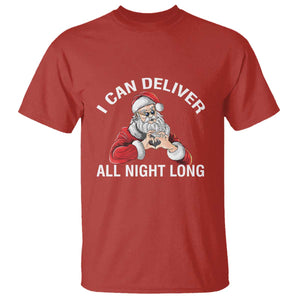 Funny Chrsitmas T Shirt I Can Deliver All Night Long TS09 Red Print Your Wear
