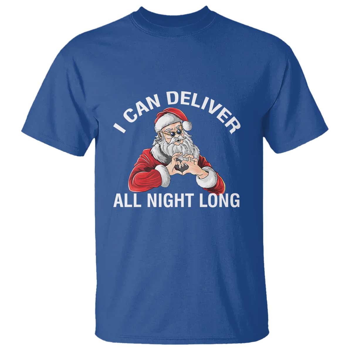 Funny Chrsitmas T Shirt I Can Deliver All Night Long TS09 Royal Blue Print Your Wear