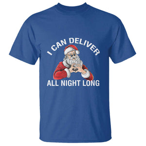 Funny Chrsitmas T Shirt I Can Deliver All Night Long TS09 Royal Blue Print Your Wear