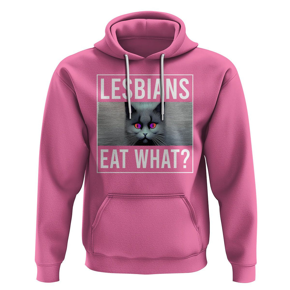 Lesbians Eat What? Funny Scared Cat LGBT Pride Hoodie TS09 Azalea Printyourwear