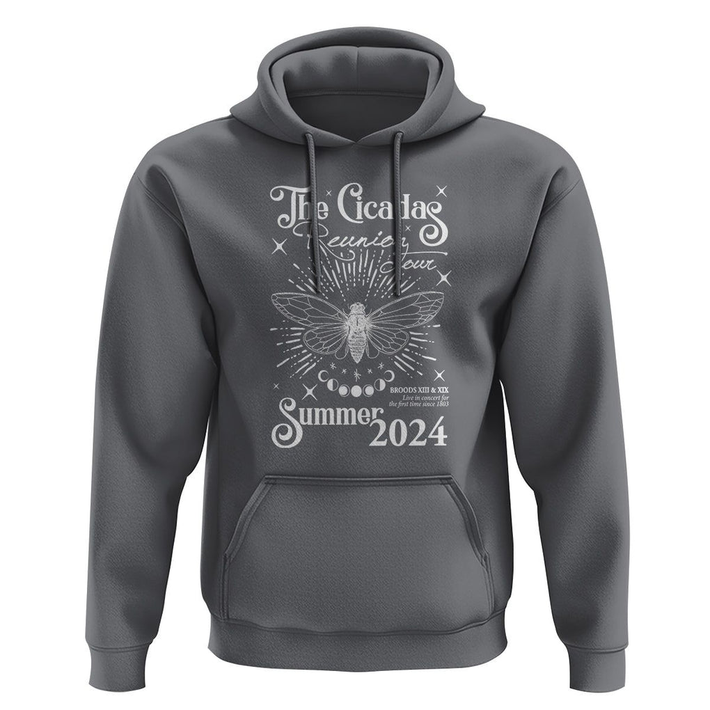 The Cicada Reunion U.S Tour 2024 Hoodie Broods XIII & XIX Cicadas Concert Fest TS09 Charcoal Print Your Wear