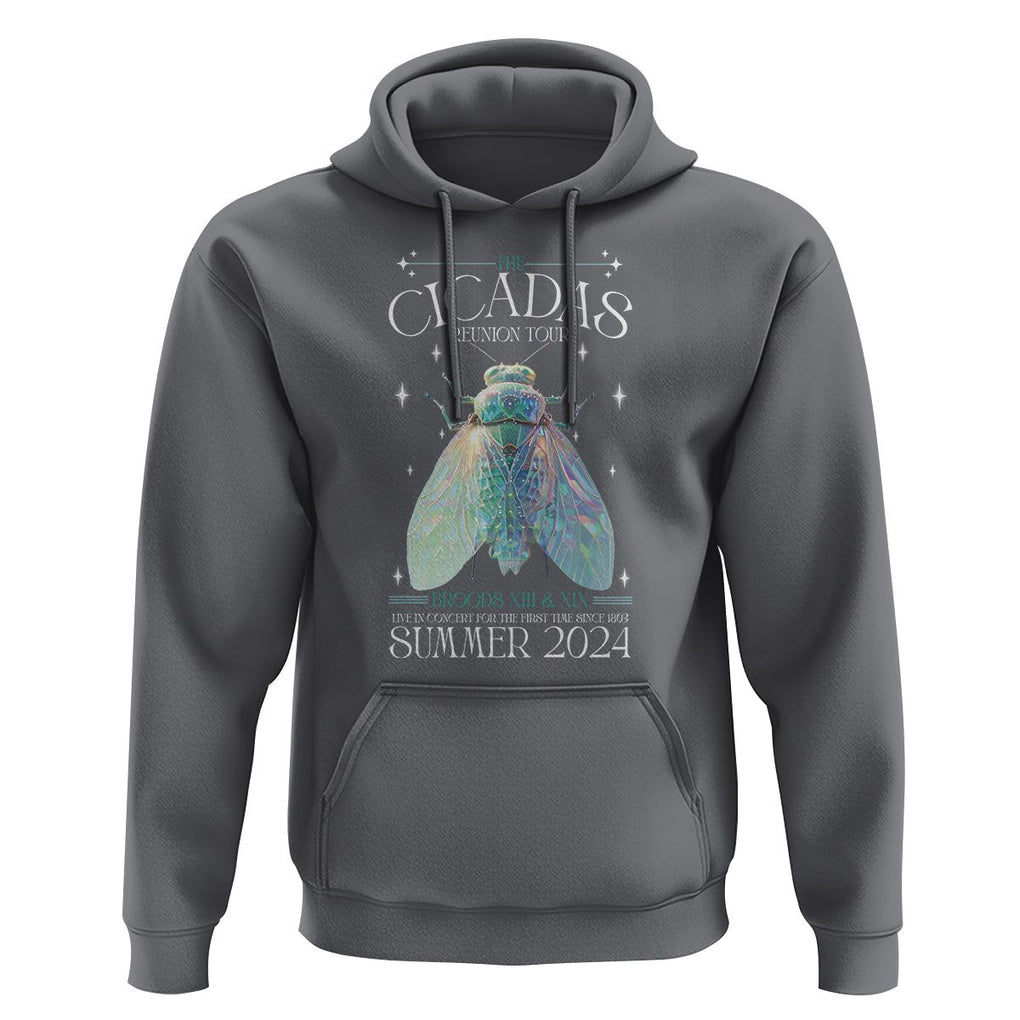 The Cicada Reunion U.S Tour 2024 Hoodie Broods XIII & XIX Cicadas Concert Fest TS09 Charcoal Print Your Wear