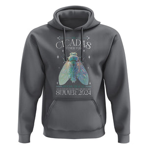 The Cicada Reunion U.S Tour 2024 Hoodie Broods XIII & XIX Cicadas Concert Fest TS09 Charcoal Print Your Wear