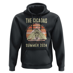 The Cicada Reunion U.S Tour 2024 Hoodie Broods XIII & XIX Summer Cicadas Concert Fest TS09 Black Print Your Wear