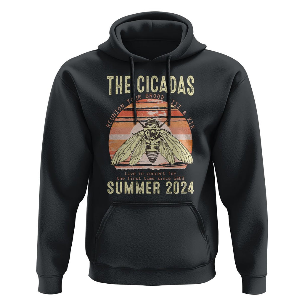 The Cicada Reunion U.S Tour 2024 Hoodie Broods XIII & XIX Summer Cicadas Concert Fest TS09 Black Print Your Wear