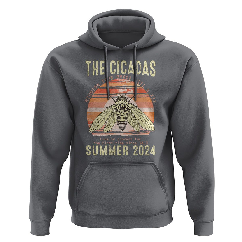 The Cicada Reunion U.S Tour 2024 Hoodie Broods XIII & XIX Summer Cicadas Concert Fest TS09 Charcoal Print Your Wear