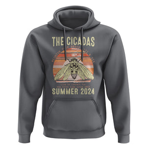The Cicada Reunion U.S Tour 2024 Hoodie Broods XIII & XIX Summer Cicadas Concert Fest TS09 Charcoal Print Your Wear