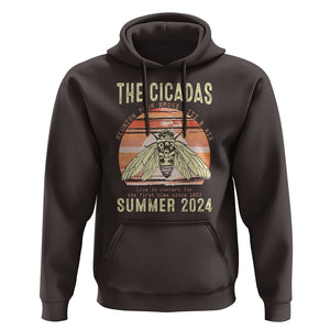 The Cicada Reunion U.S Tour 2024 Hoodie Broods XIII & XIX Summer Cicadas Concert Fest TS09 Dark Chocolate Print Your Wear