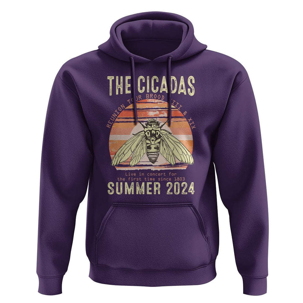 The Cicada Reunion U.S Tour 2024 Hoodie Broods XIII & XIX Summer Cicadas Concert Fest TS09 Purple Print Your Wear