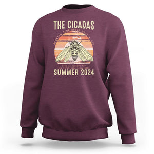 The Cicada Reunion U.S Tour 2024 Sweatshirt Broods XIII & XIX Summer Cicadas Concert Fest TS09 Maroon Print Your Wear