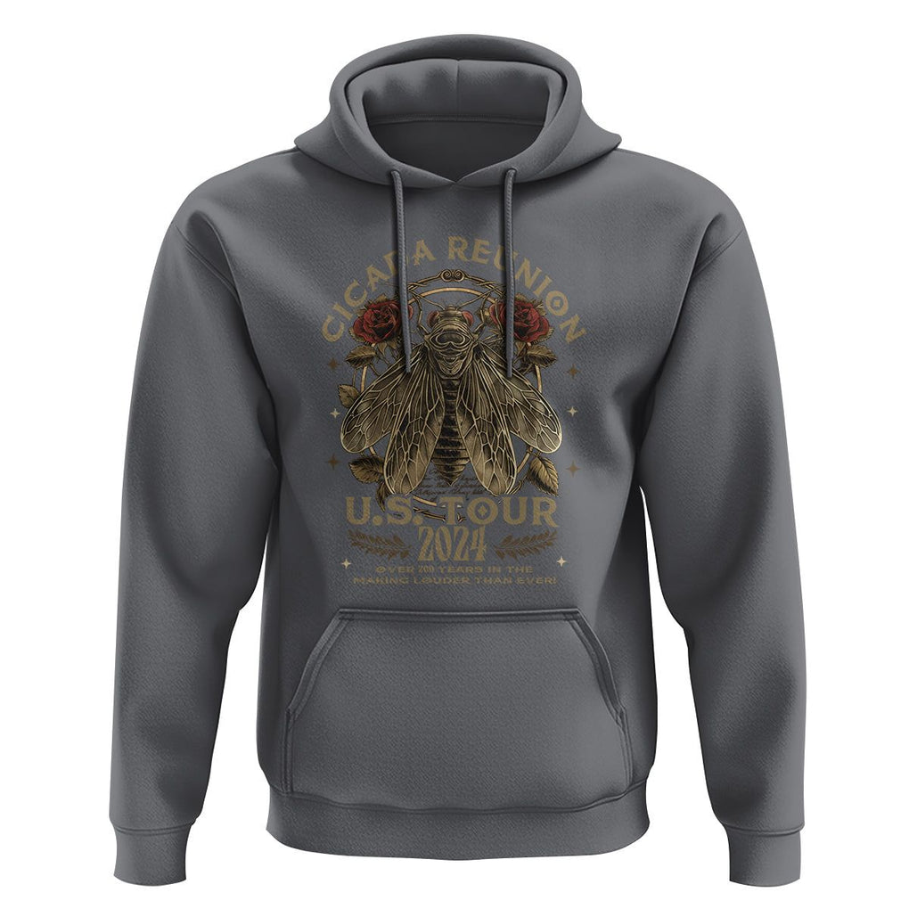 The Cicada Reunion U.S Tour 2024 Hoodie Broods XIII & XIX Vintage Cicadas Concert Fest TS09 Charcoal Print Your Wear