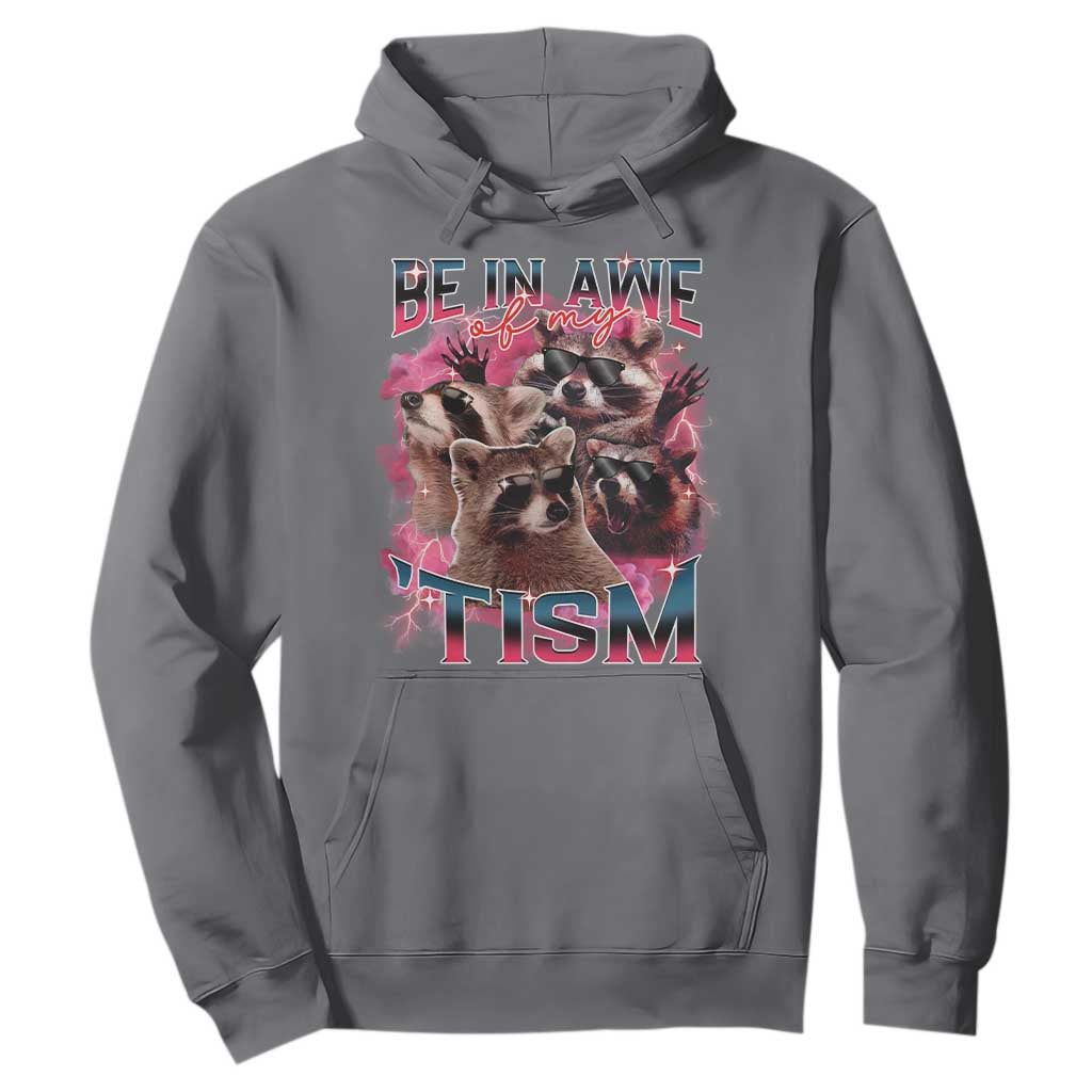 Funny Meme Autistic Raccoon Hoodie Be In Awe Of My 'Tism TS09 Charcoal Print Your Wear