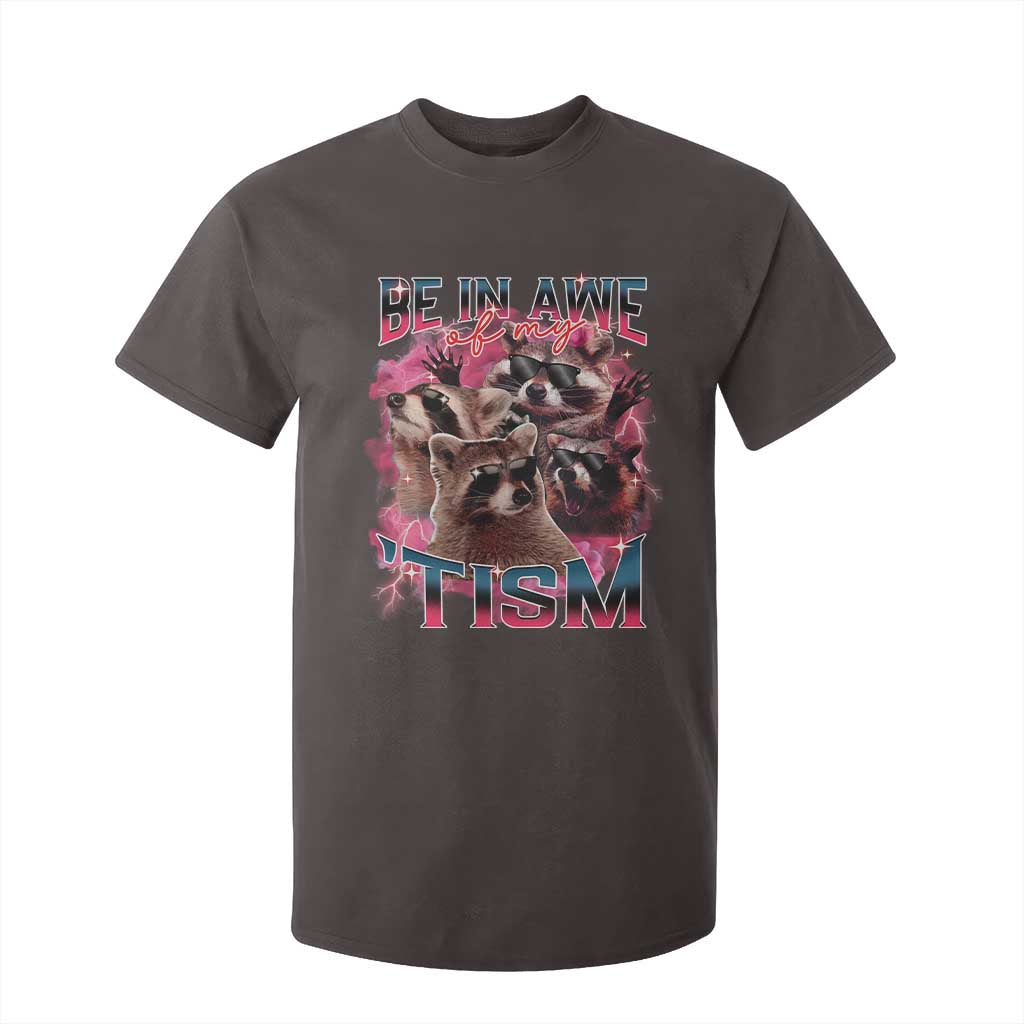 Funny Meme Autistic Raccoon T Shirt For Kid Be In Awe Of My 'Tism TS09 Dark Chocolate Print Your Wear