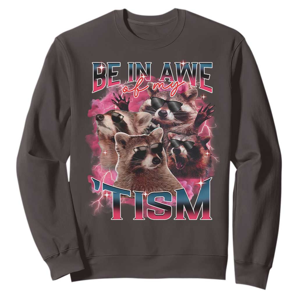 Funny Meme Autistic Raccoon Sweatshirt Be In Awe Of My 'Tism TS09 Dark Chocolate Print Your Wear