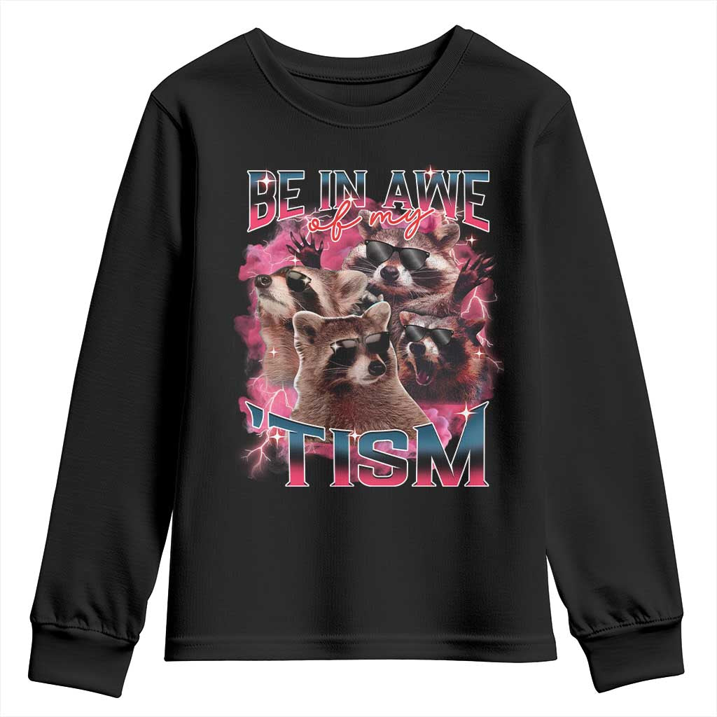 Funny Meme Autistic Raccoon Youth Sweatshirt Be In Awe Of My 'Tism TS09 Black Print Your Wear