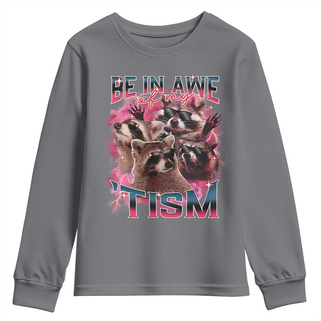 Funny Meme Autistic Raccoon Youth Sweatshirt Be In Awe Of My 'Tism TS09 Charcoal Print Your Wear
