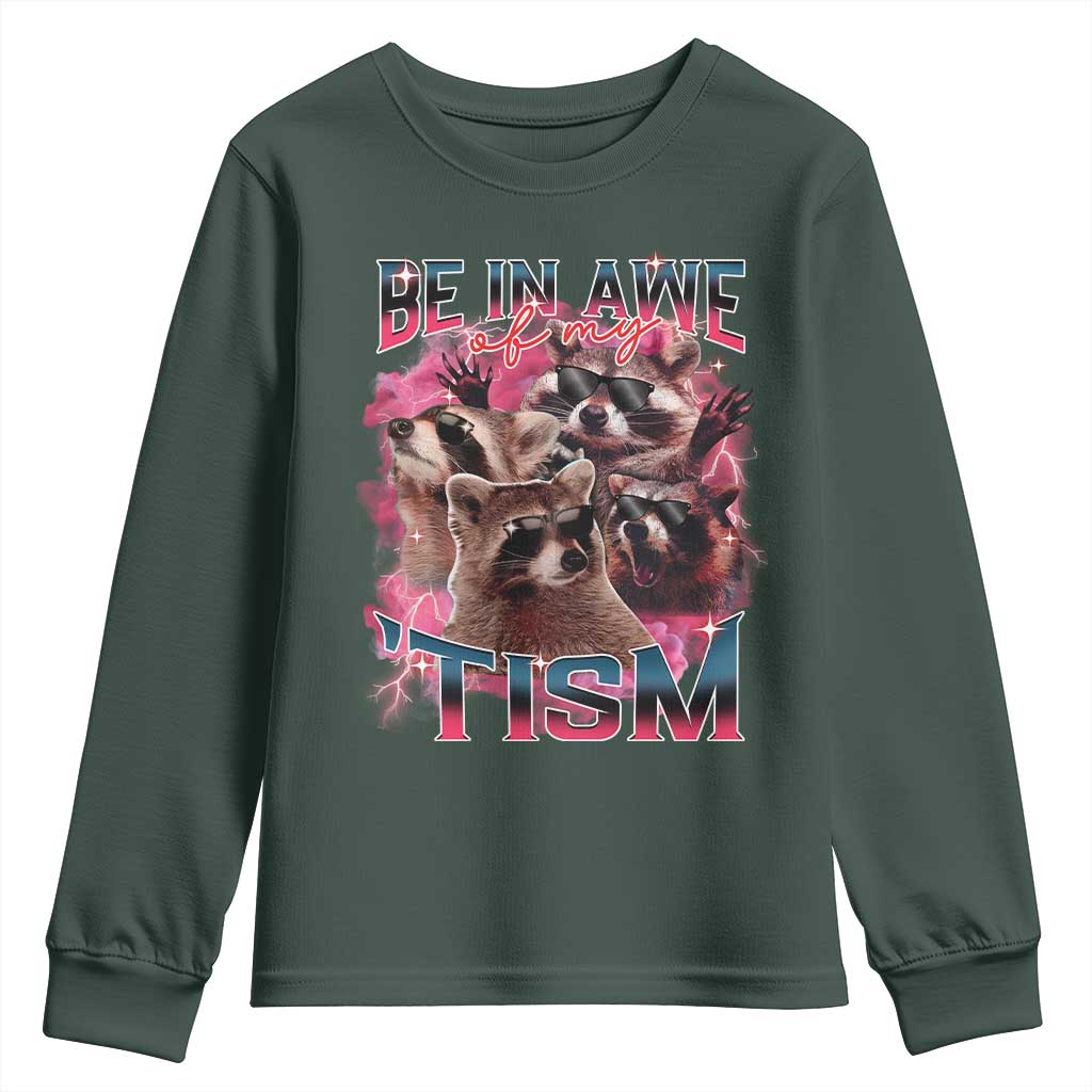 Funny Meme Autistic Raccoon Youth Sweatshirt Be In Awe Of My 'Tism TS09 Dark Forest Green Print Your Wear