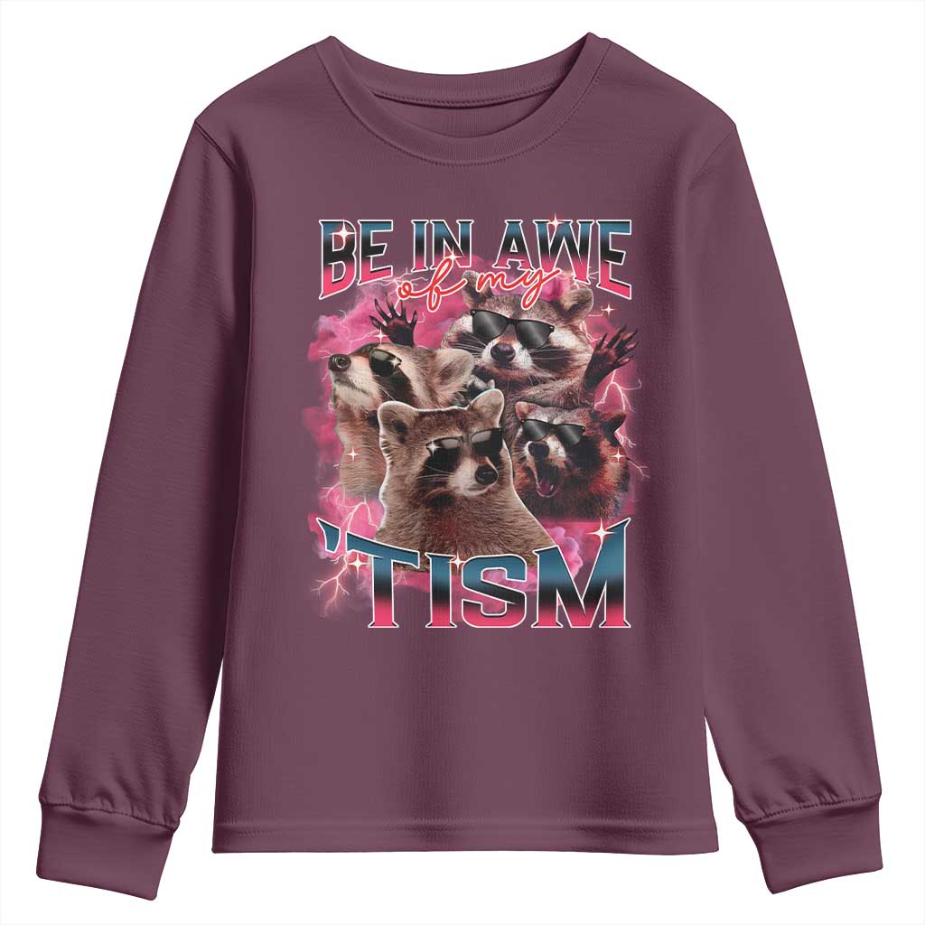 Funny Meme Autistic Raccoon Youth Sweatshirt Be In Awe Of My 'Tism TS09 Maroon Print Your Wear
