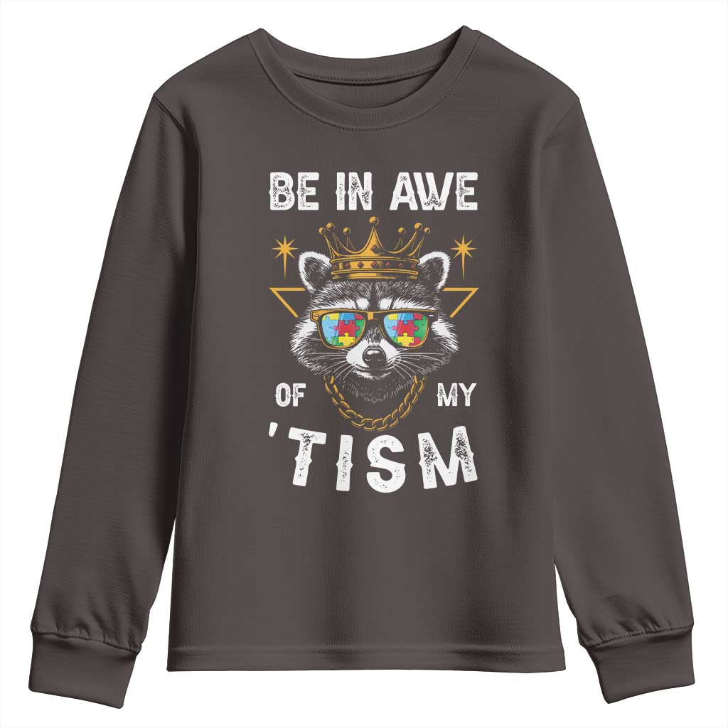 Funny Autistic Raccoon Youth Sweatshirt Be In Awe Of My 'Tism TS09 Dark Chocolate Print Your Wear