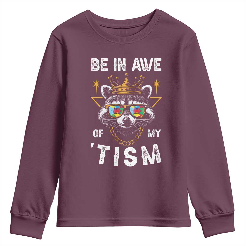 Funny Autistic Raccoon Youth Sweatshirt Be In Awe Of My 'Tism TS09 Maroon Print Your Wear