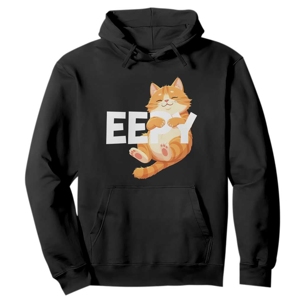 Funny Cat Meme Hoodie Eepy Cat Silly Sleepy Cat TS09 Black Print Your Wear
