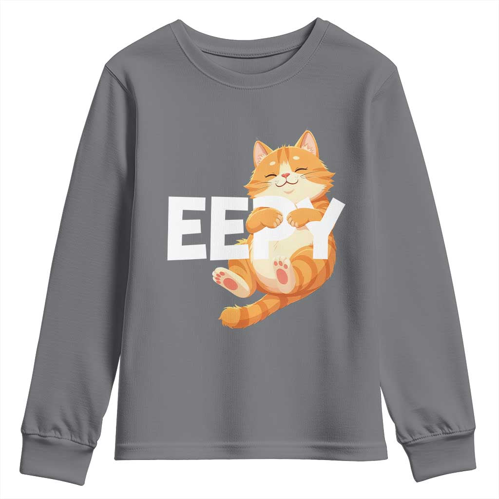 Funny Cat Meme Youth Sweatshirt Eepy Cat Silly Sleepy Cat TS09 Charcoal Print Your Wear