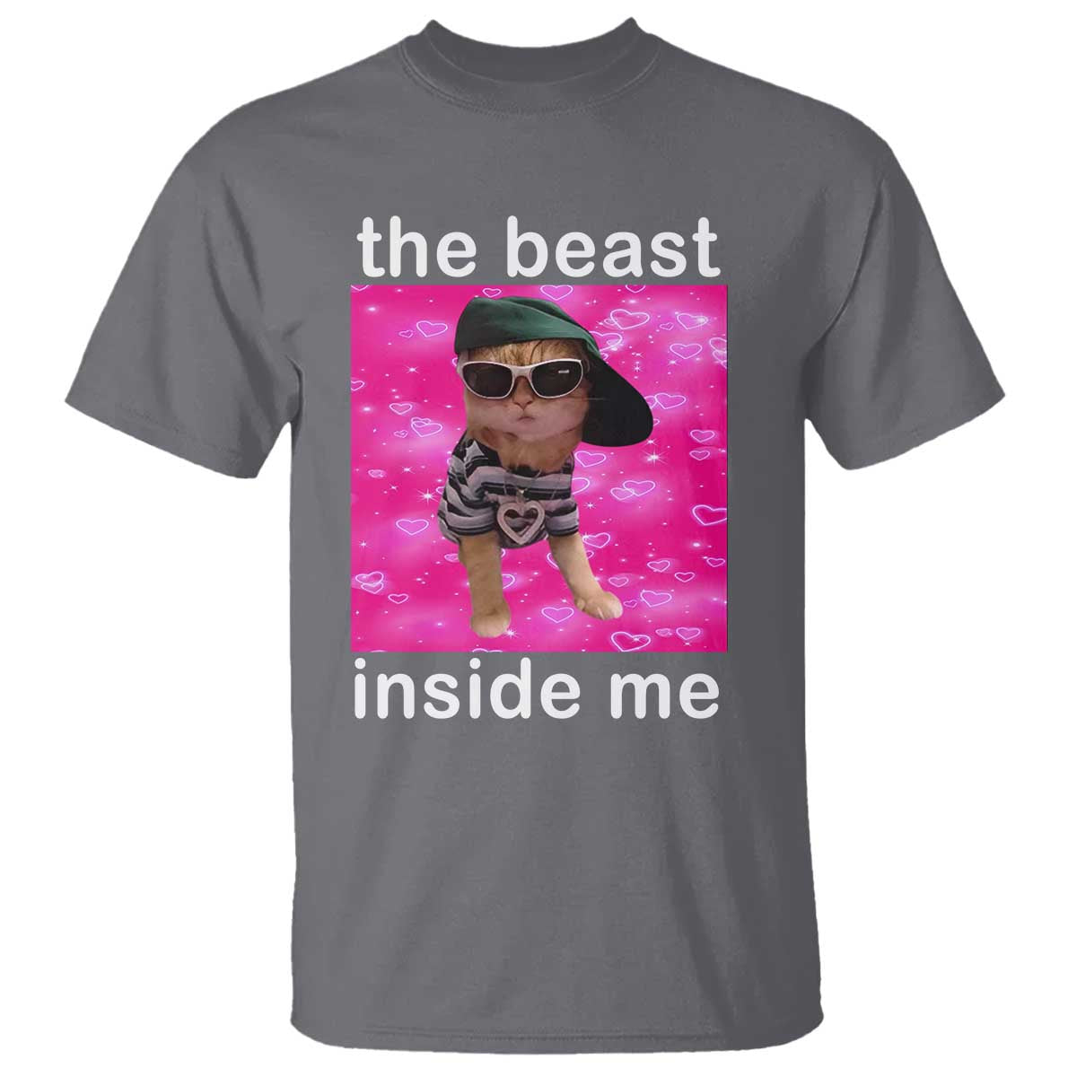 Funny Cat Meme T Shirt The Beast Inside Me TS09 Charcoal Print Your Wear