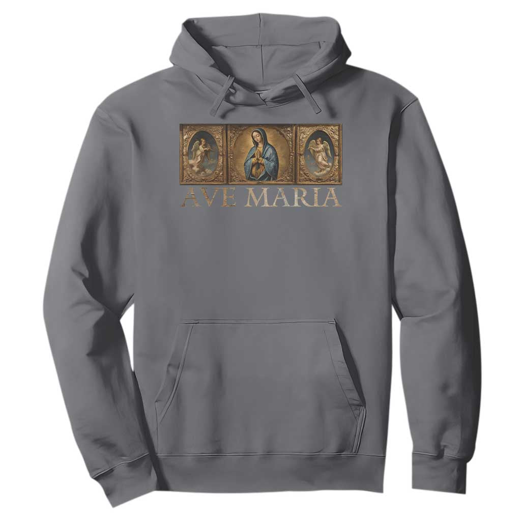 Marian Catholic Ave Maria Hoodie Vintage Aesthetic Blessed Mother Mary Hail TS09 Charcoal Print Your Wear