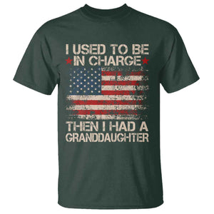 I Used To Be in Charge Then I Had A Granddaughter T Shirt Fathers Day Grandpa Gift American Flag