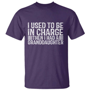 I Used To Be in Charge Then I Had A Granddaughter T Shirt Father's Day Grandpa Gift